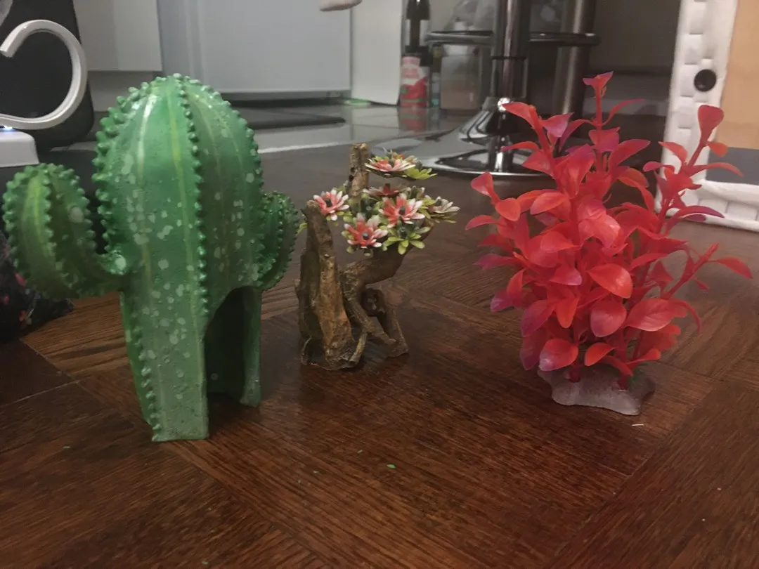 Beautiful Aquarium Accessories photo 1