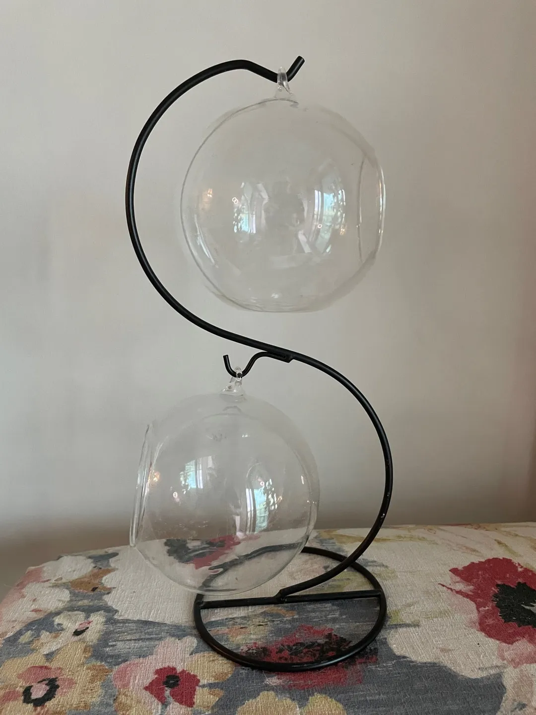 Air Plant Holder photo 1