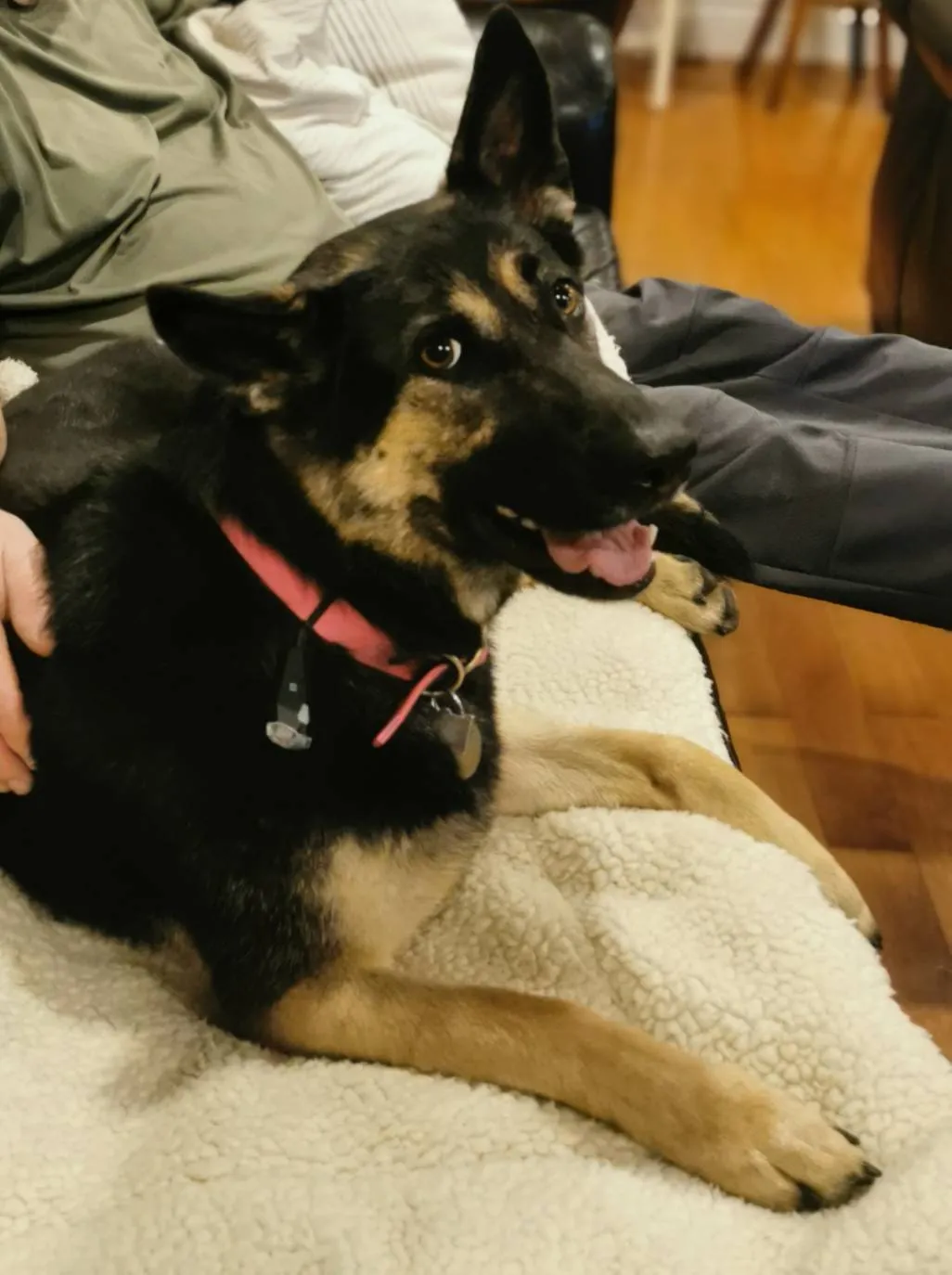 BUNZ APPRECIATION POST🎉💕🎉 photo 1