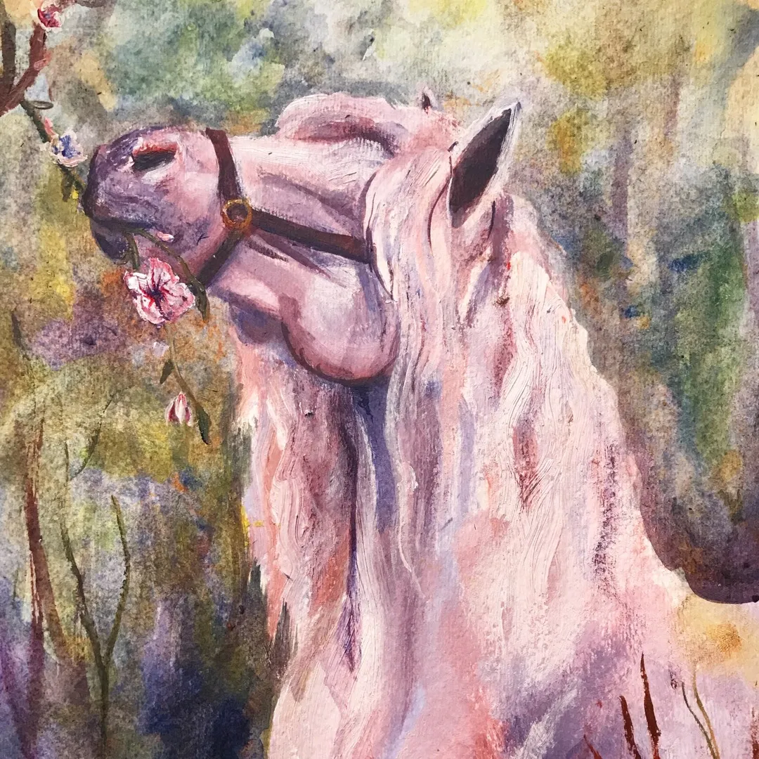 Animal Portraits photo 1