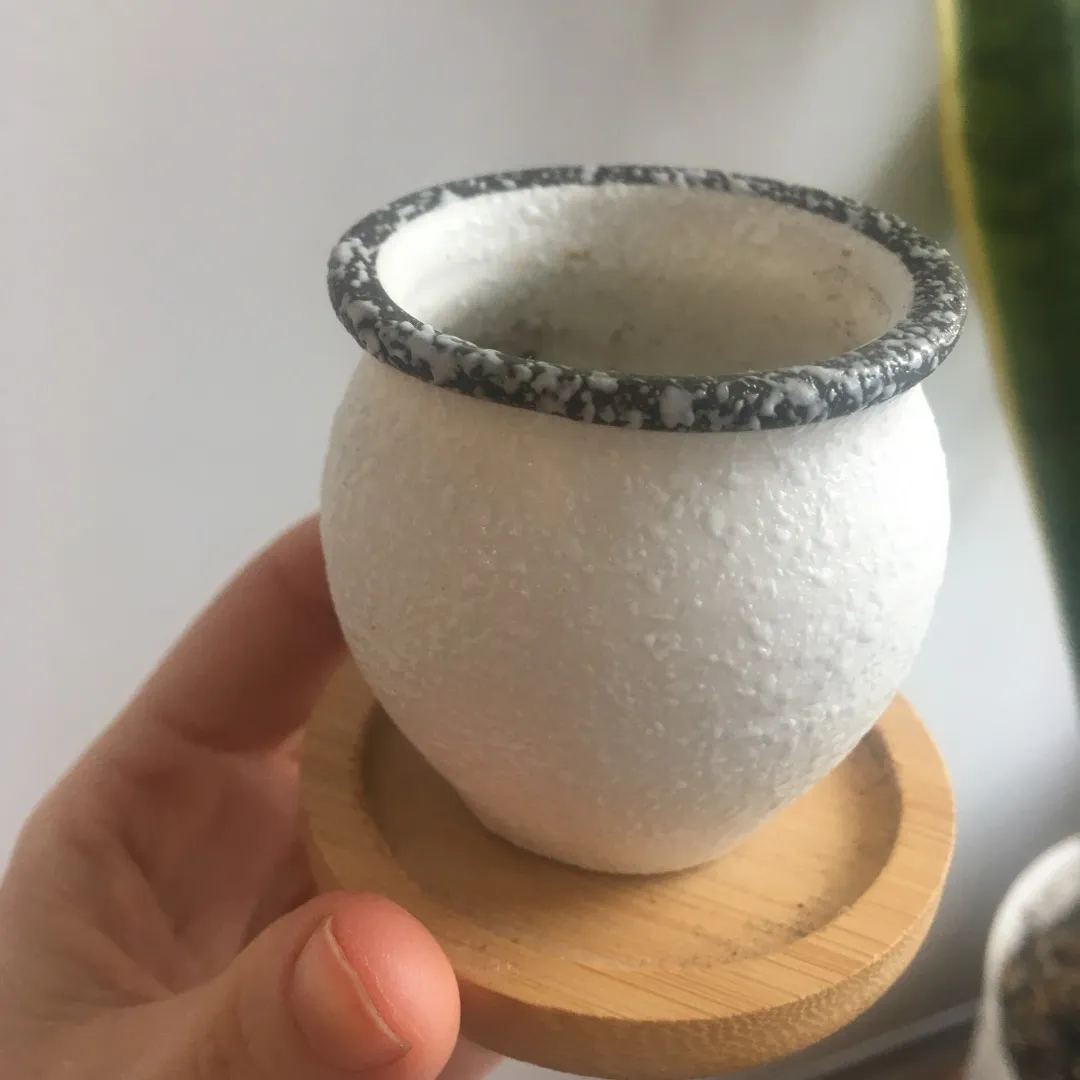 🌱 adorable mini planter photo 1