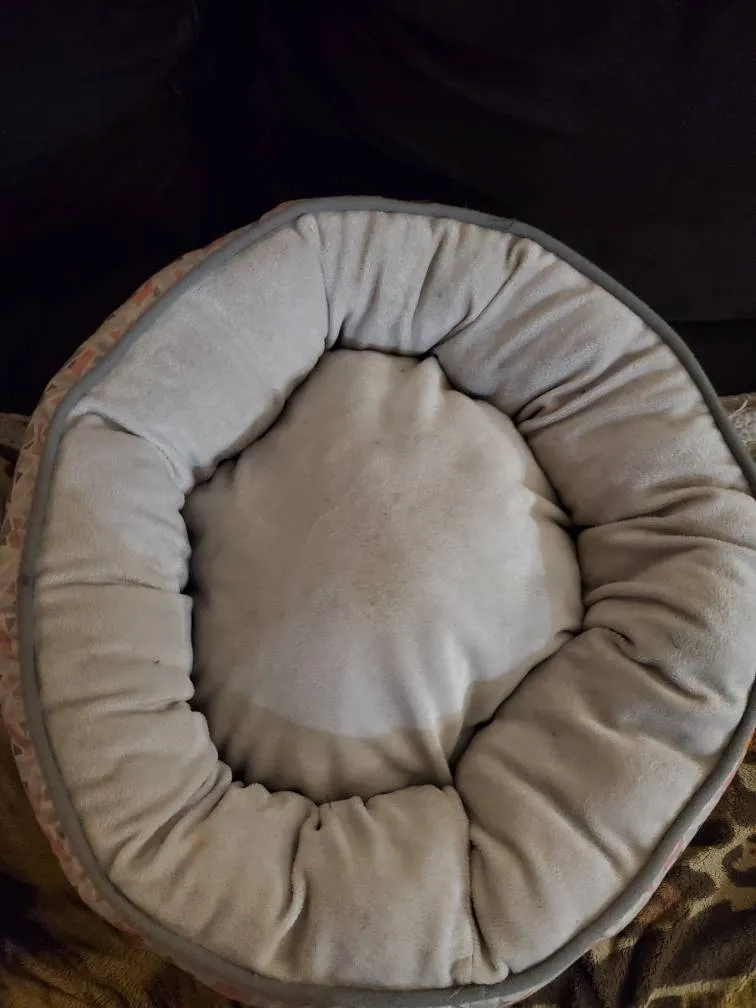 Cat Bed photo 1