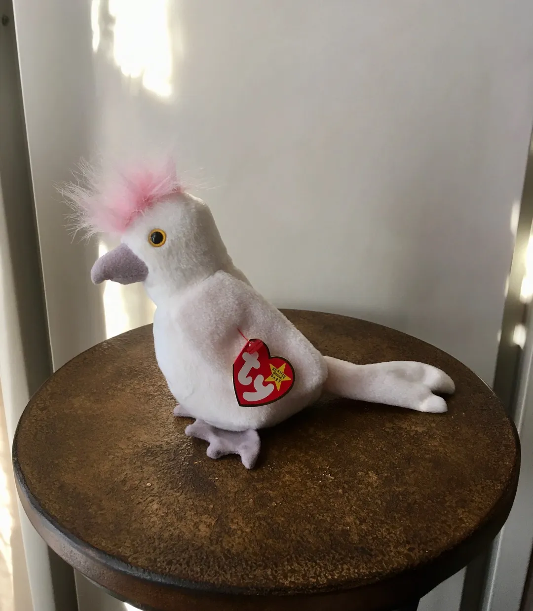 ty ❤️ Beanie Babies Collection photo 1