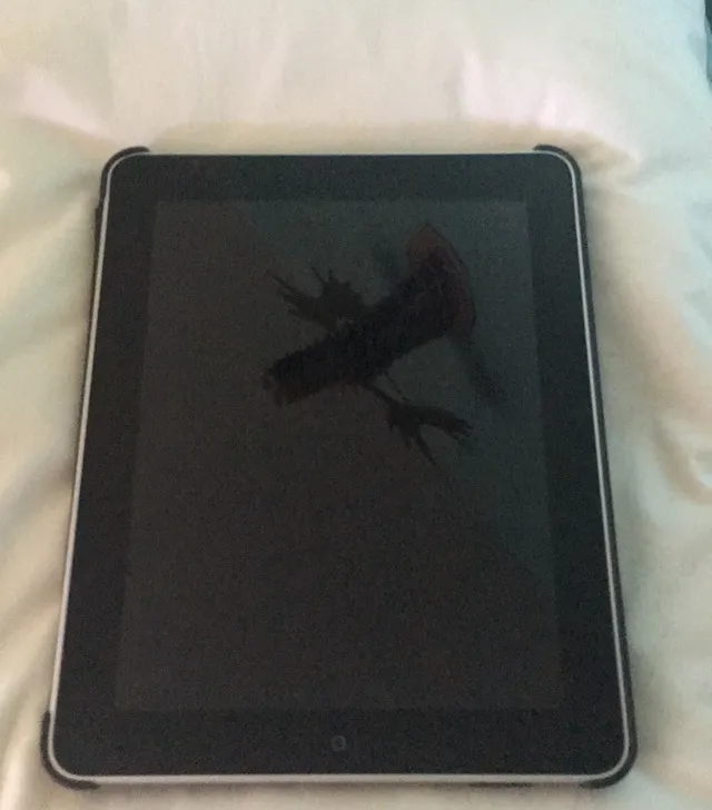 First Gen iPad 16 gb photo 1