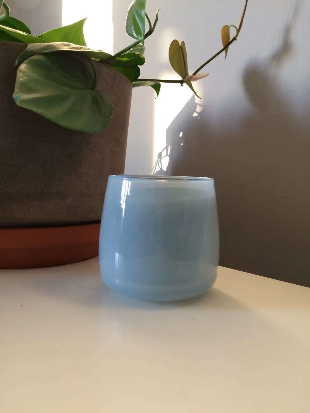 Small Glass Planter photo 1