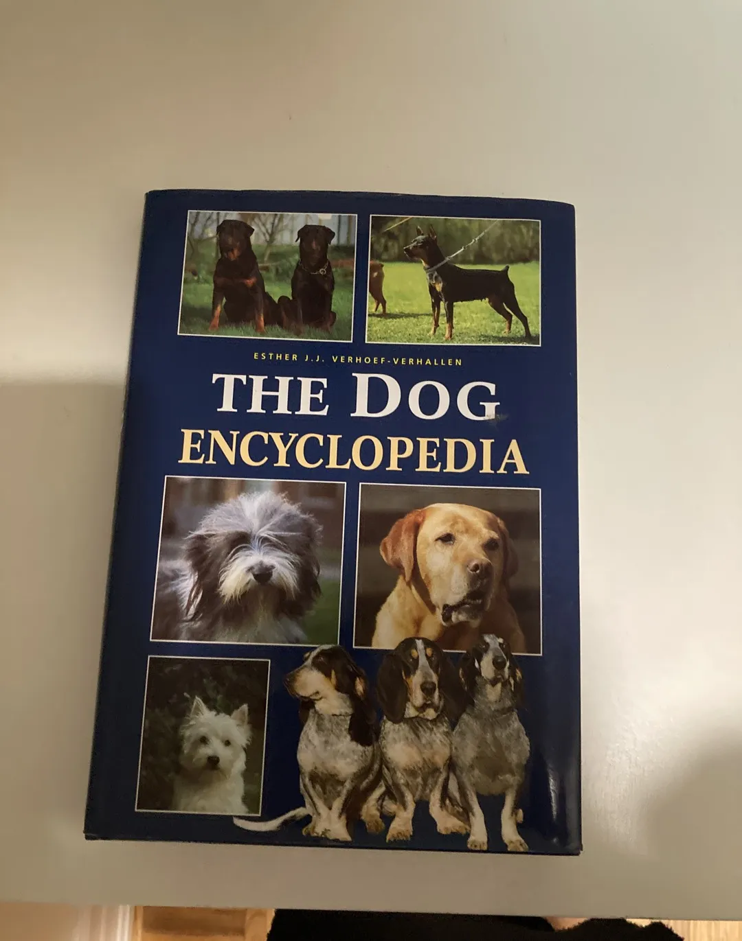 All About Dogs photo 1
