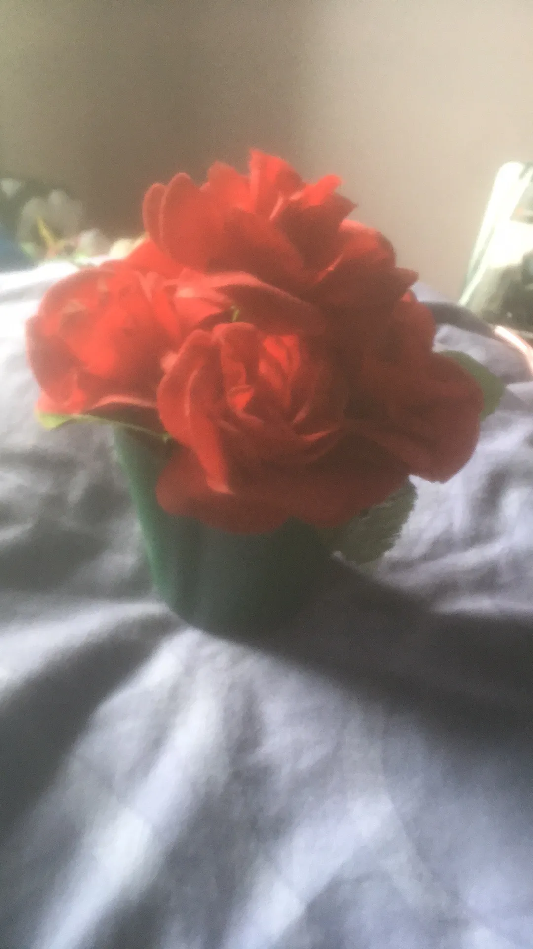 Cute little pot of roses photo 1