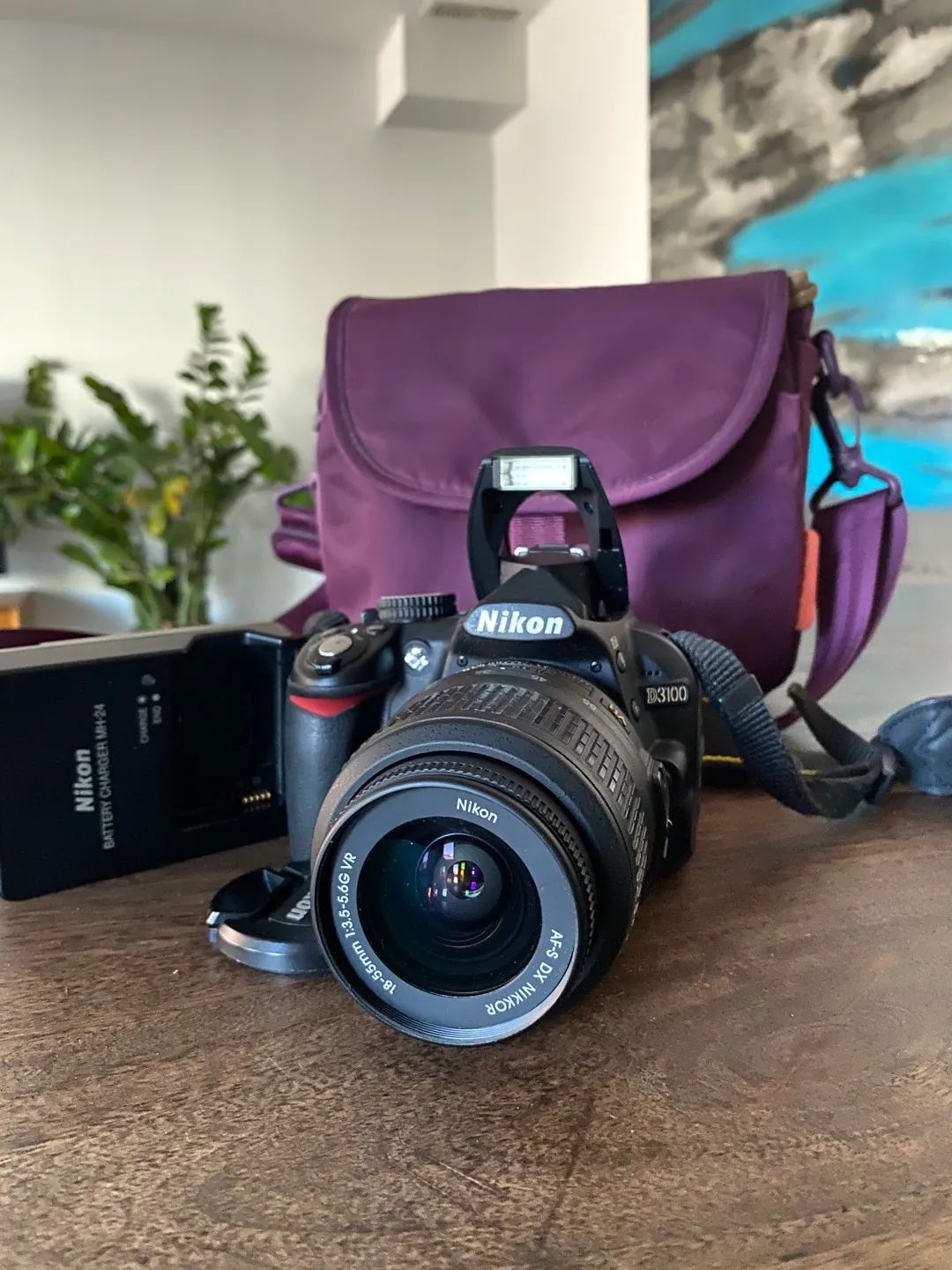 Nikon D3100 With Bag photo 1