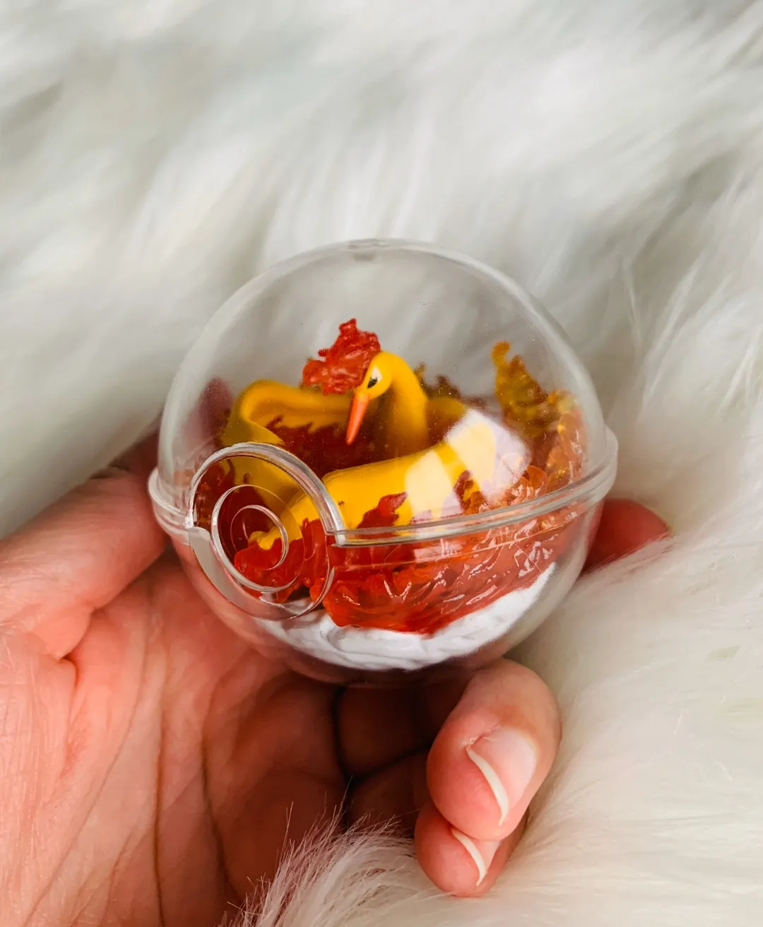 Rement Moltres Pokémon Terrarium photo 1