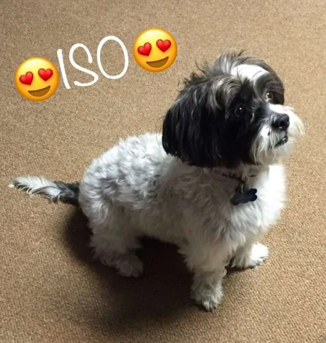 ISO LIST (Confession: I Just Wanted To Post This Adorable Pho... photo 1