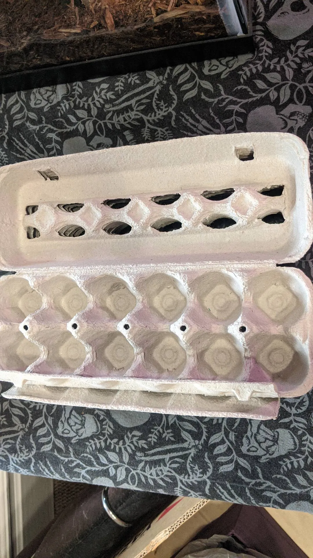 FREE Small Stack Of Egg Cartons photo 1