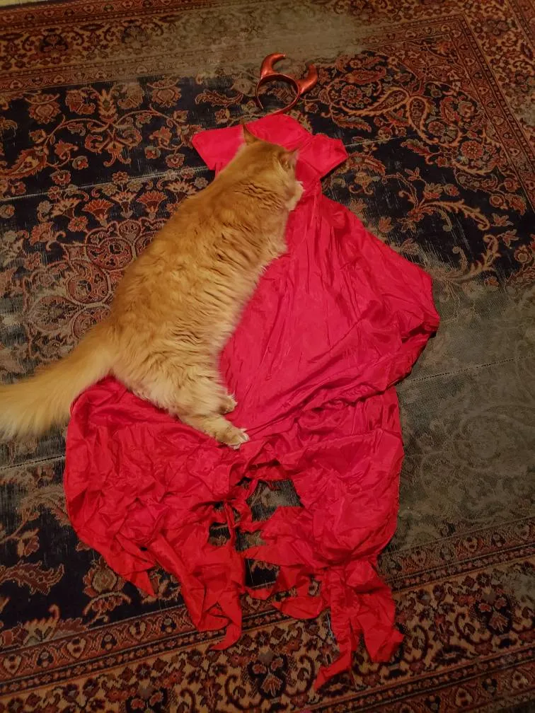 Devil Costume - One Of A Kind, Homemade photo 1