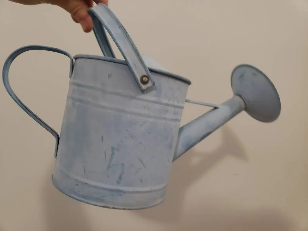 Watering Can photo 1