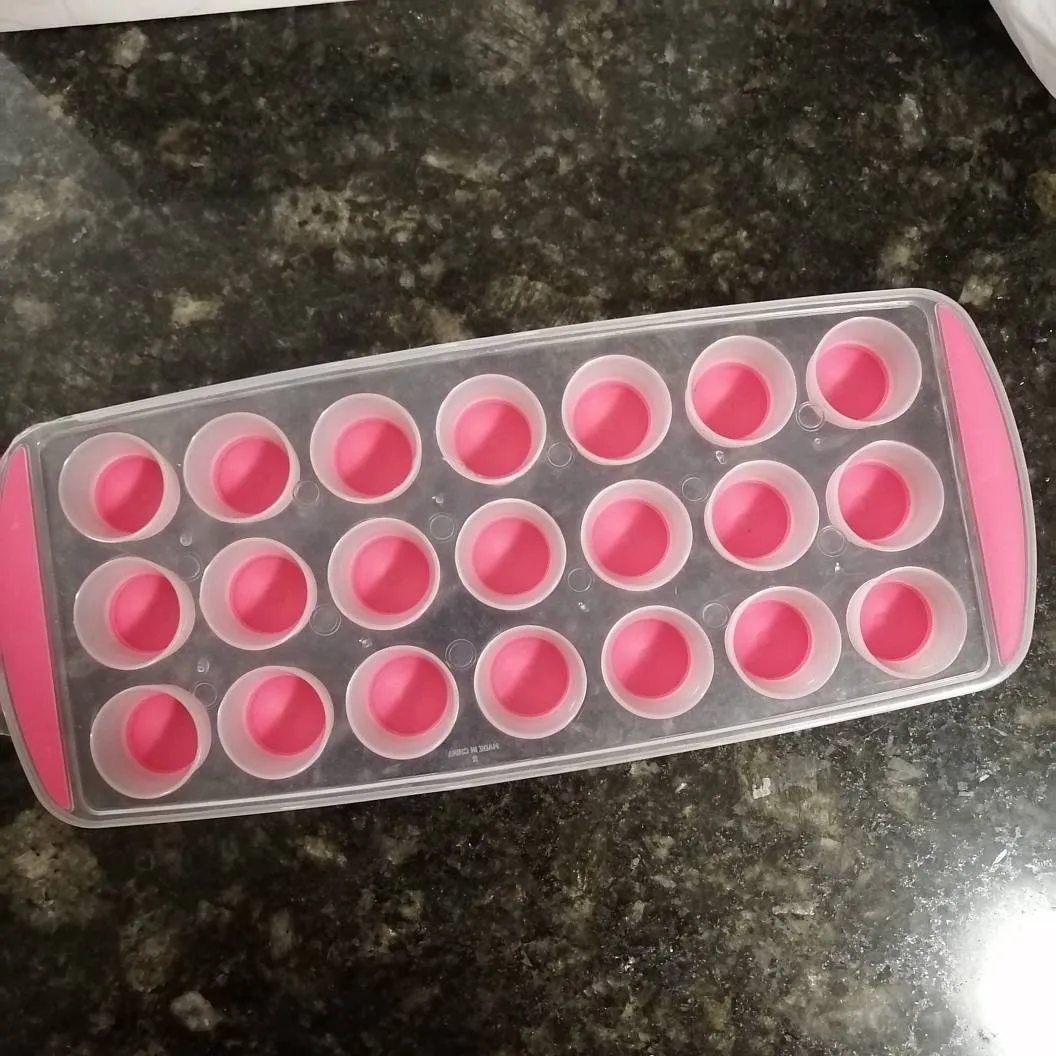 Ice Mold Tray photo 1