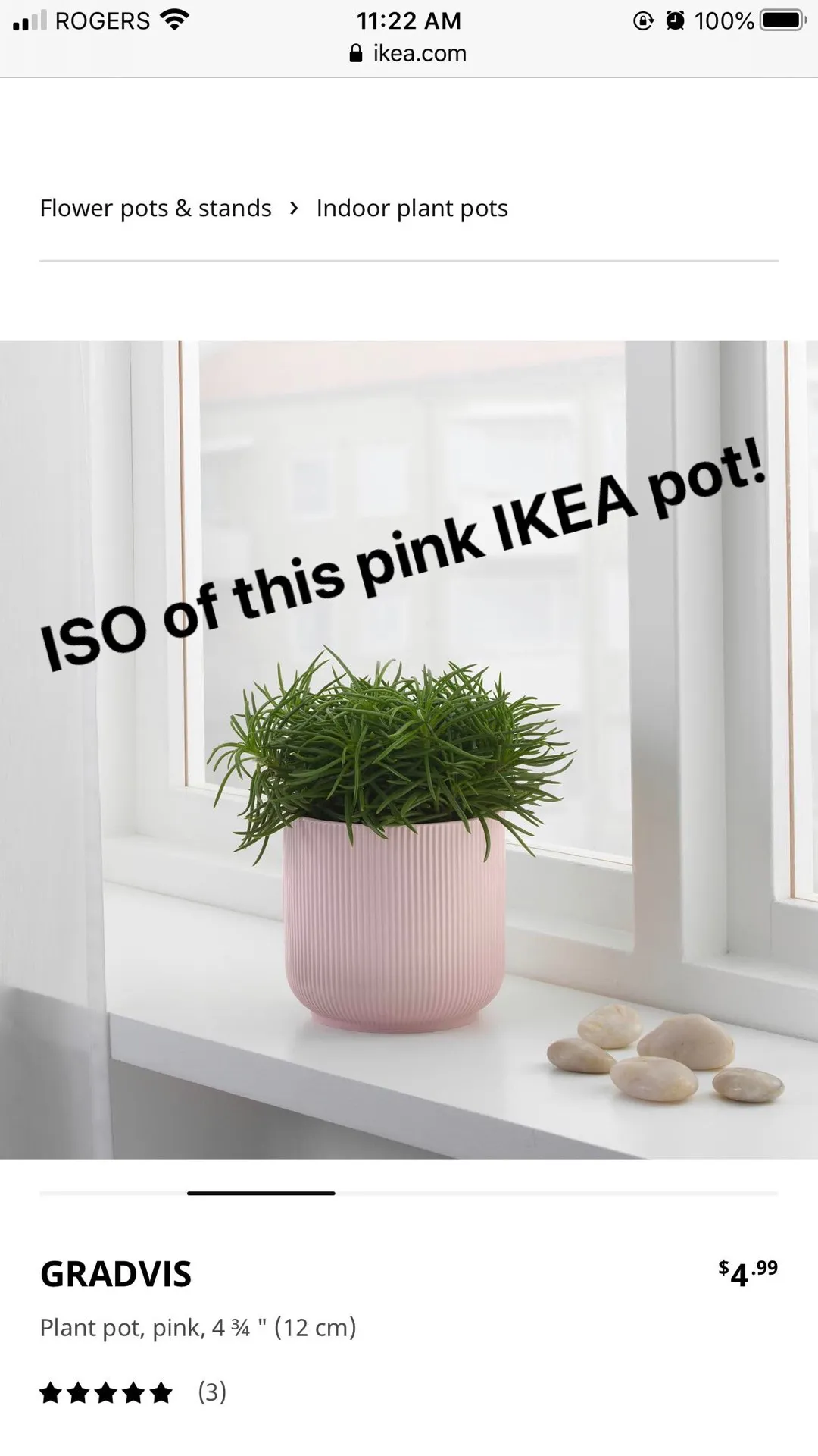 ISO This Pink IKEA Pot photo 1
