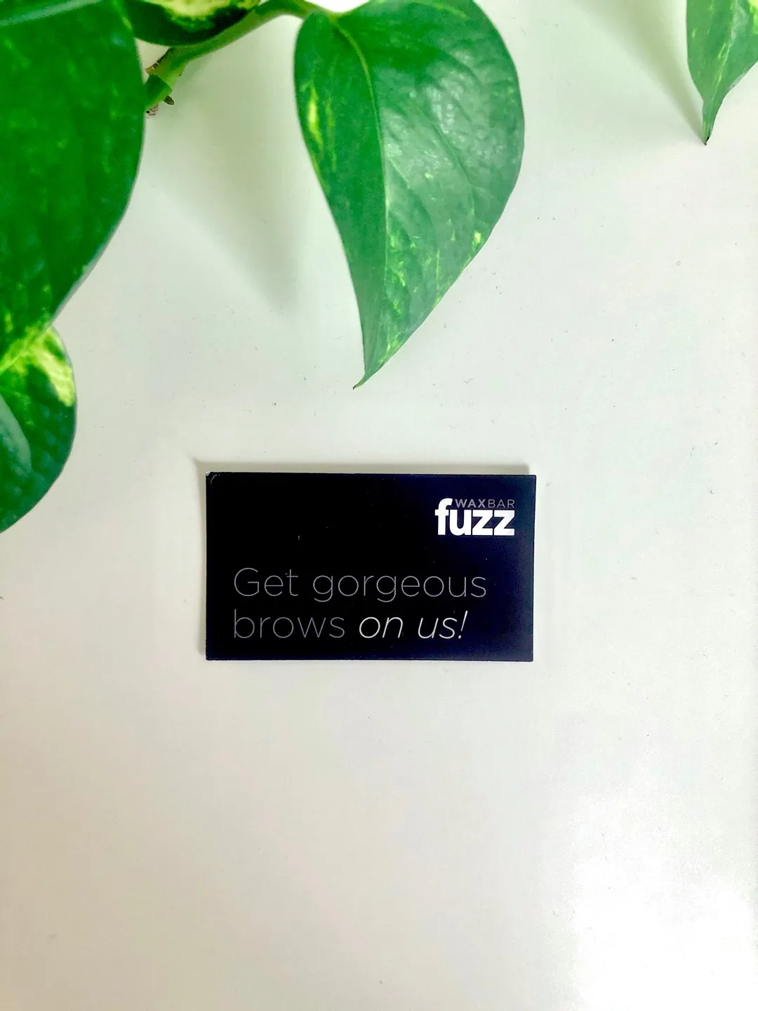 Free Brow Wax photo 1