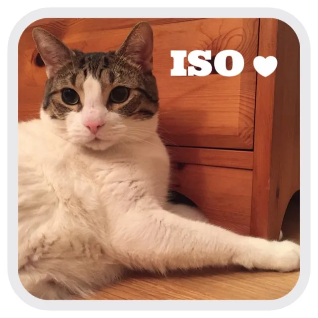 ISO list (non-music stuff!) photo 1