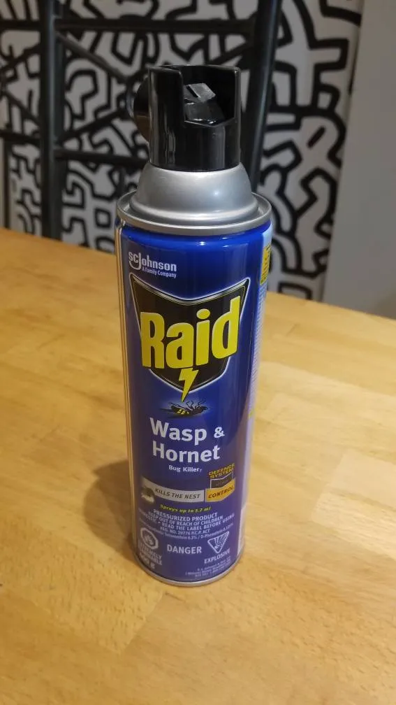 Raid Wasp & Hornet photo 1