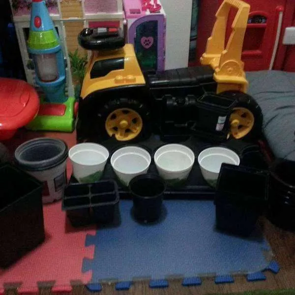 nursery pots and tray photo 1