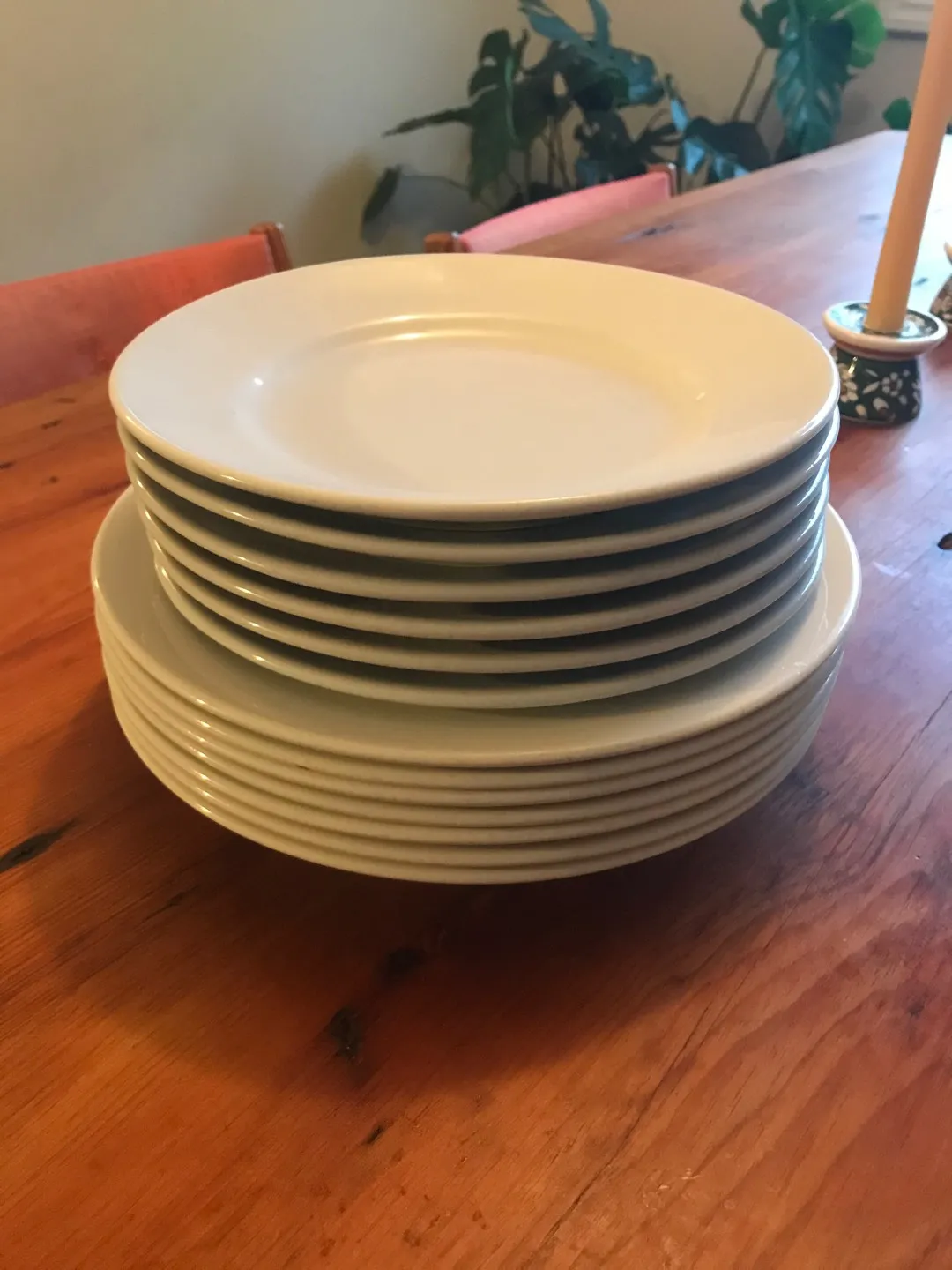 restaurant quality plates photo 1