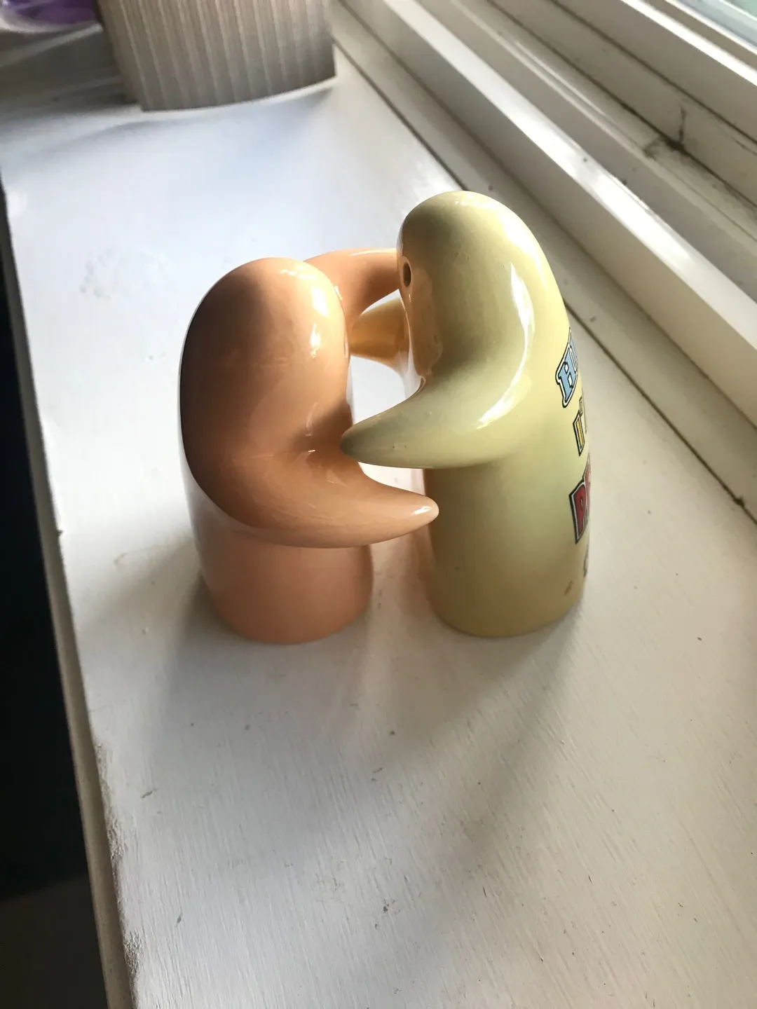 🧂 Hugging Salt And Pepper Shakers 🧂 photo 1