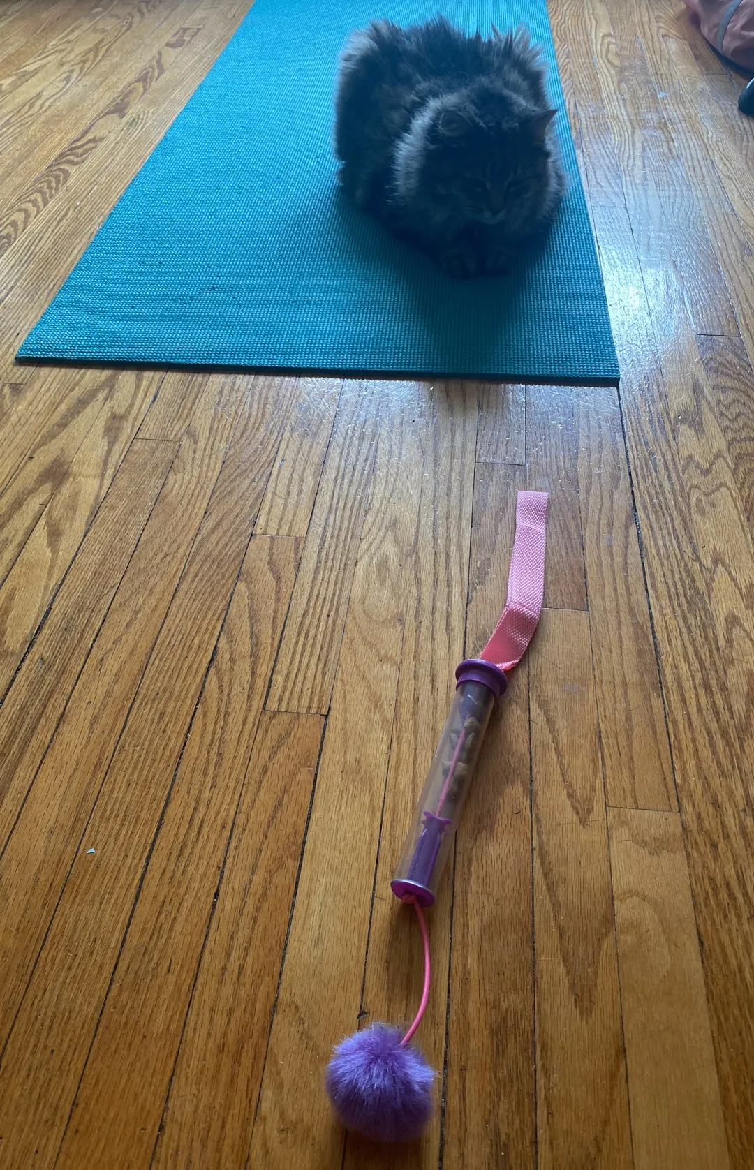 Doorknob Cat Toy 😸 photo 1