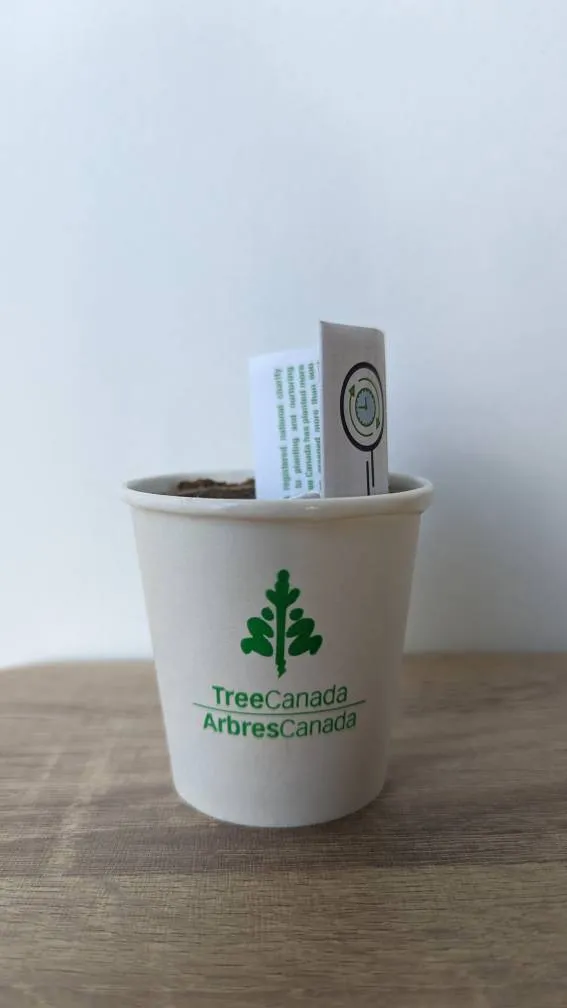 Plant Your Own Tree photo 1