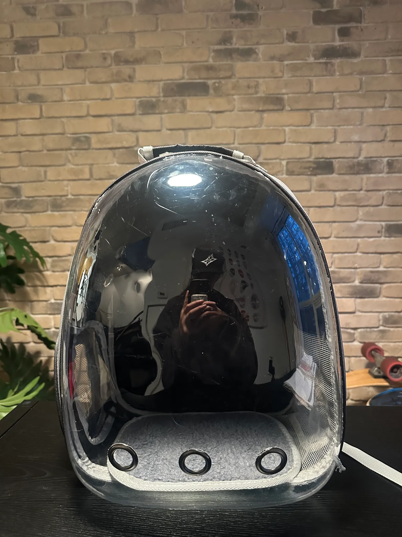 New Pet Backpack Carrier (Cat/Dog) – With Bubble Window photo 1