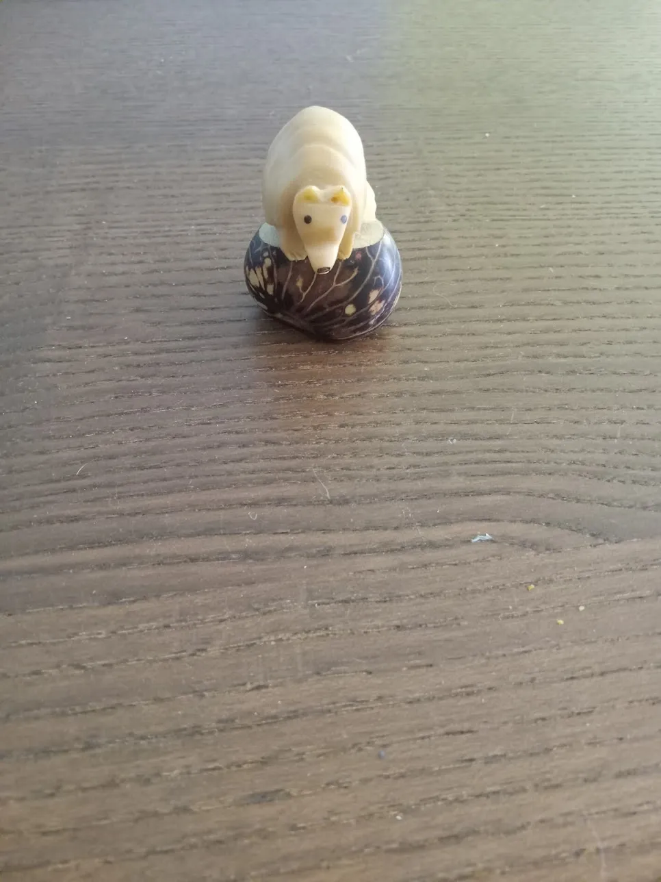Lil Armadillo Guy photo 1