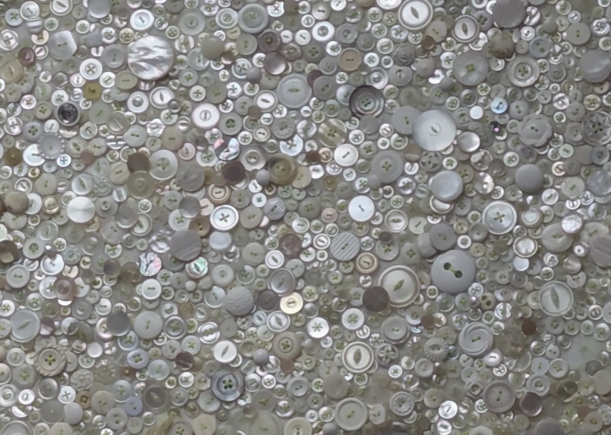 BUTTONS photo 1