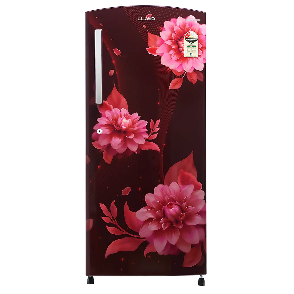 Lloyd 200L Direct Cool Refrigerator photo 1