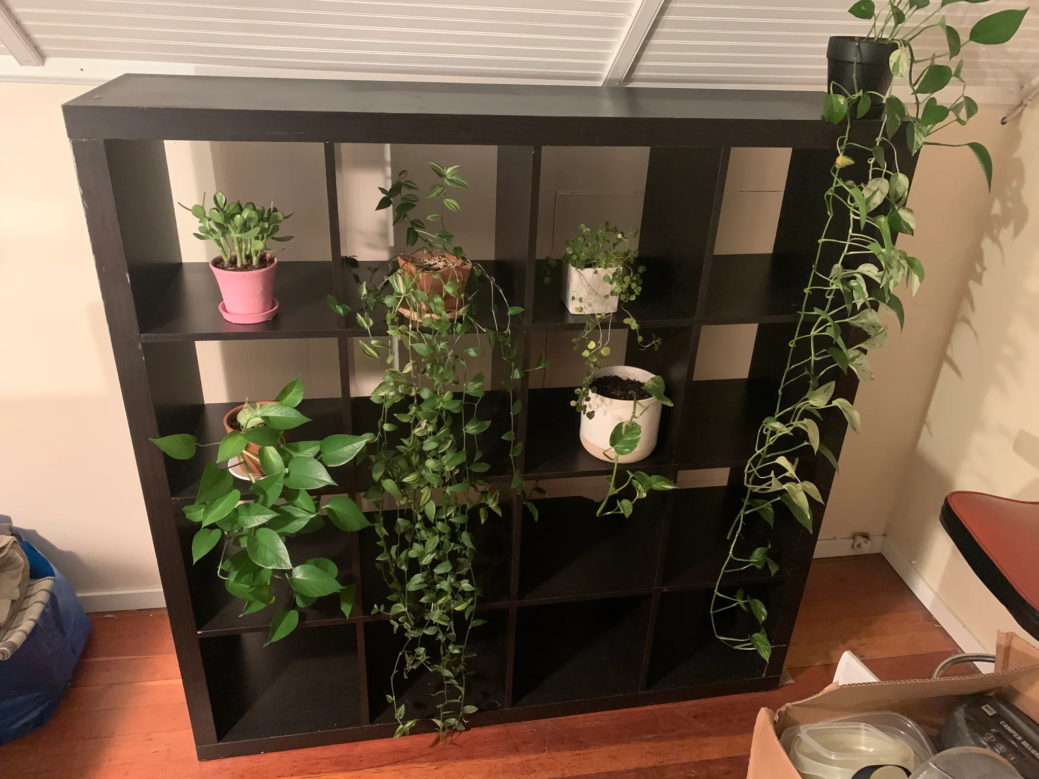 Shelving unit photo 1