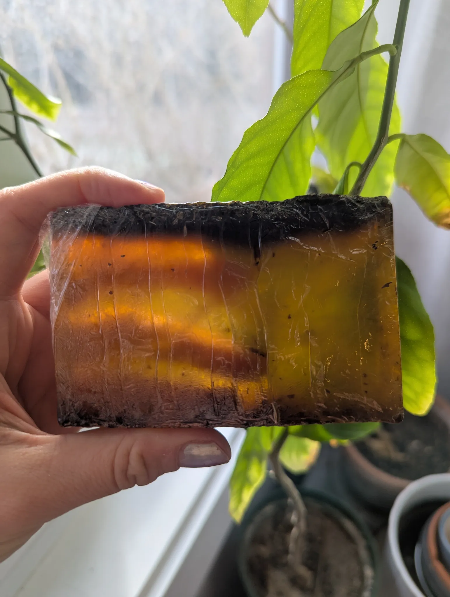 Lemongrass Body Soap photo 1