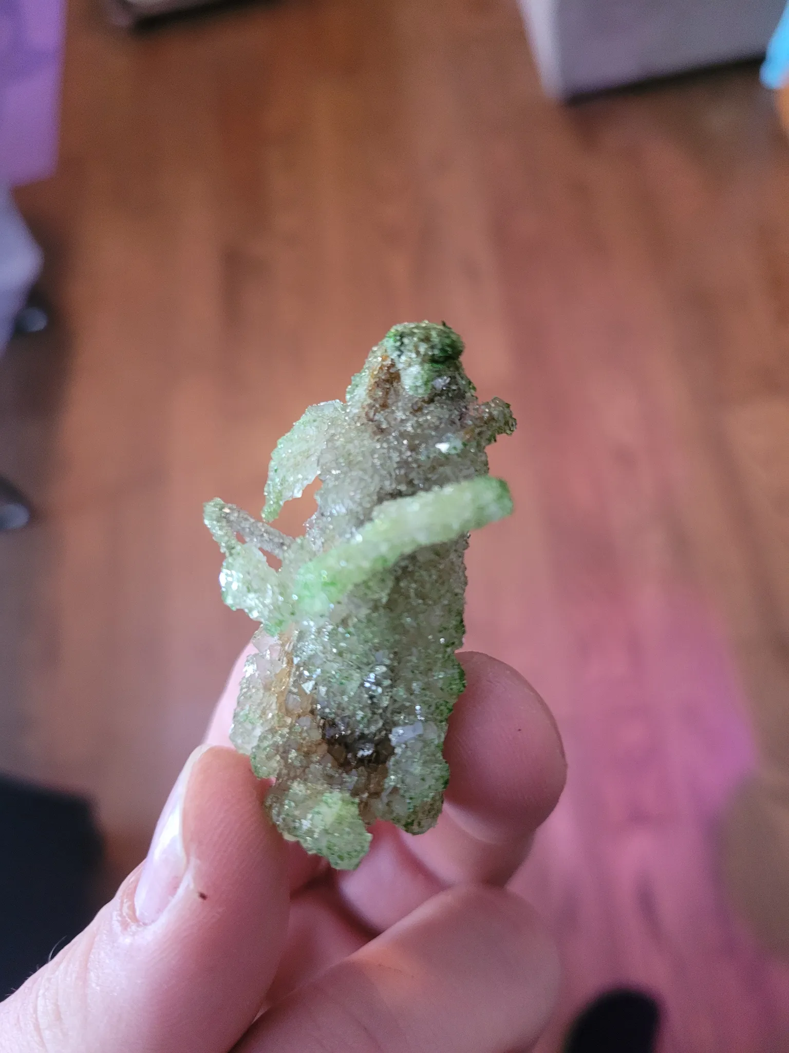 One of a kind crystallized praying mantis photo 1