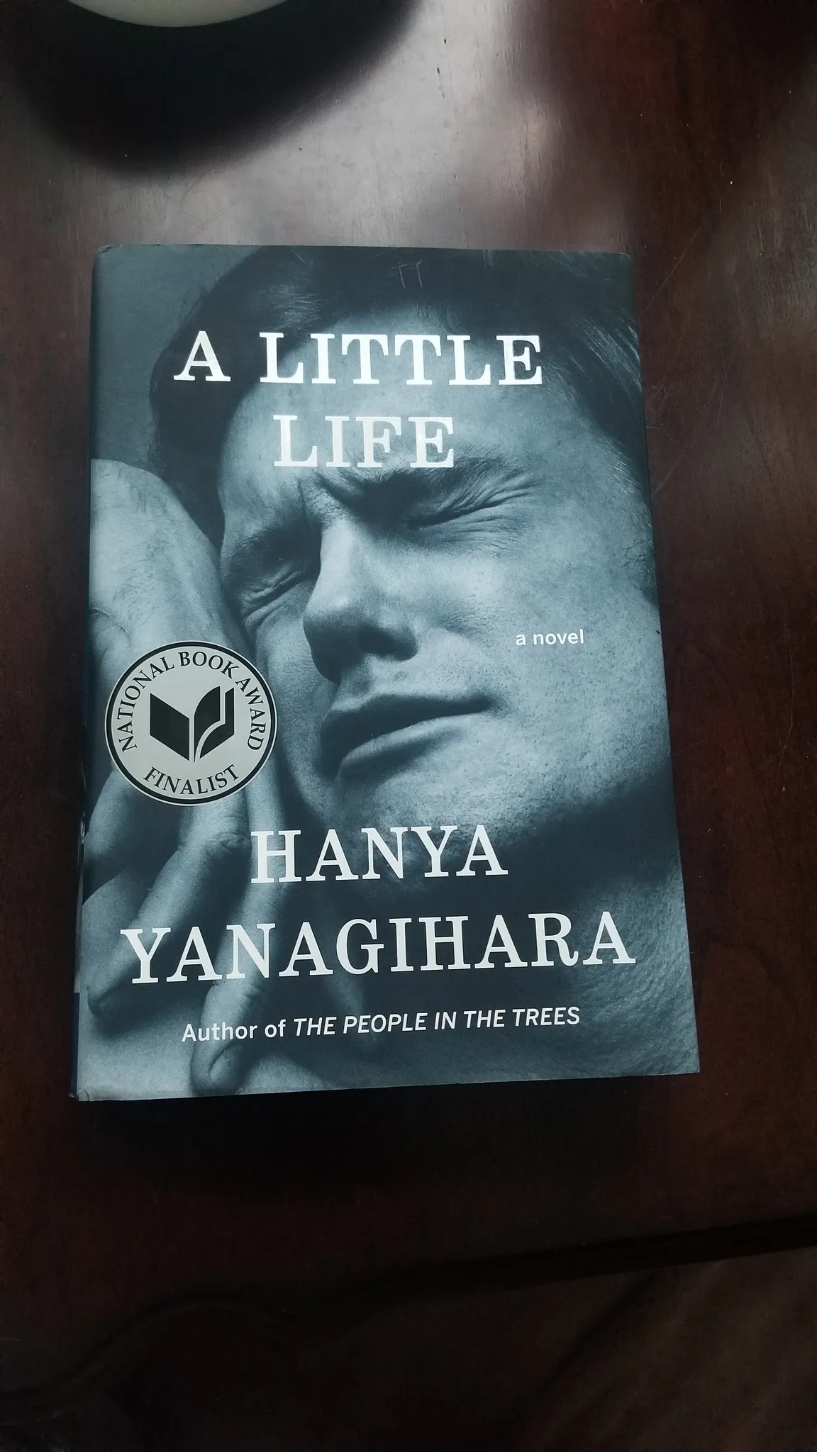 A little life by hanya yanagihara photo 1