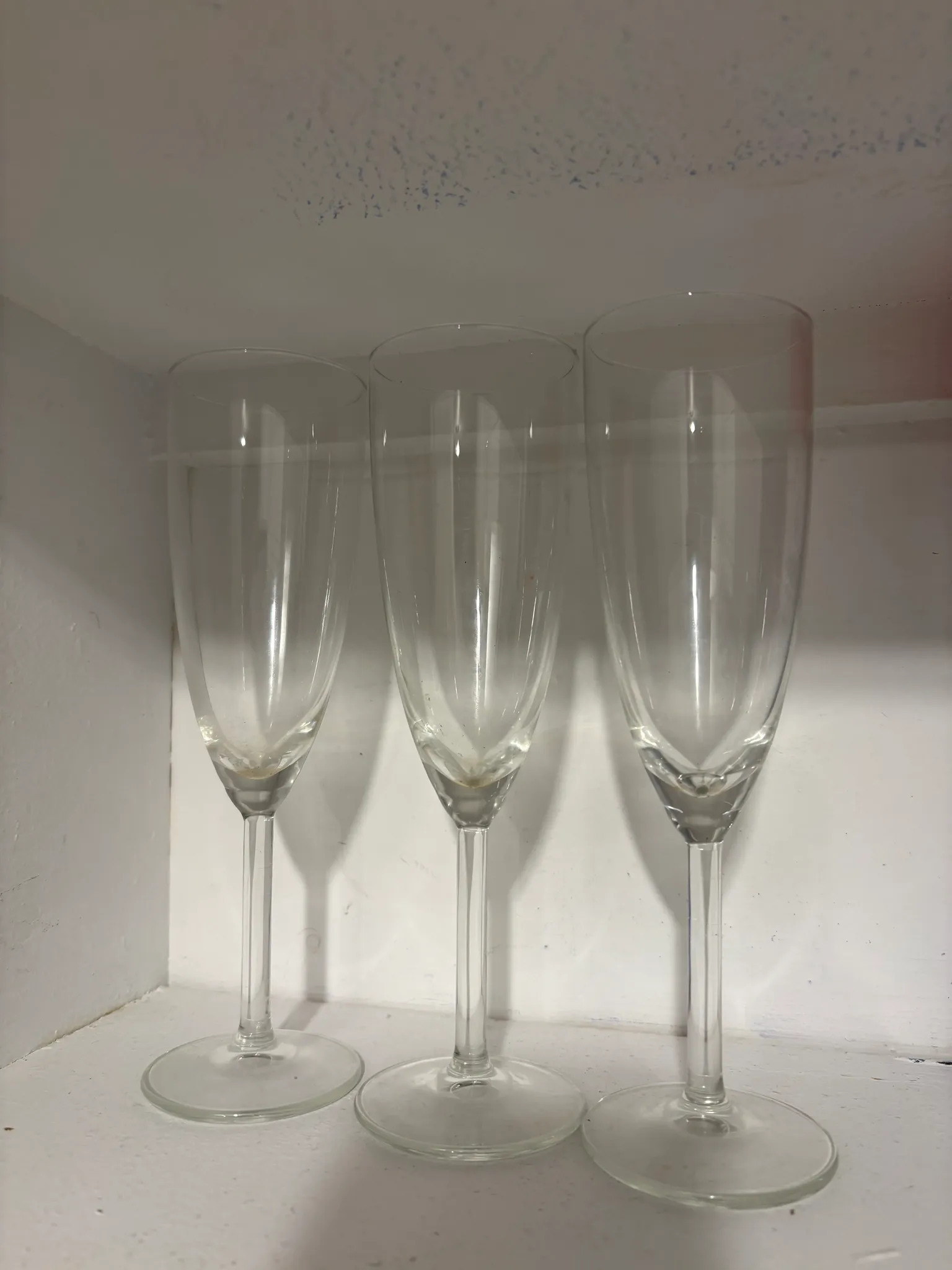 Glasses  photo 1