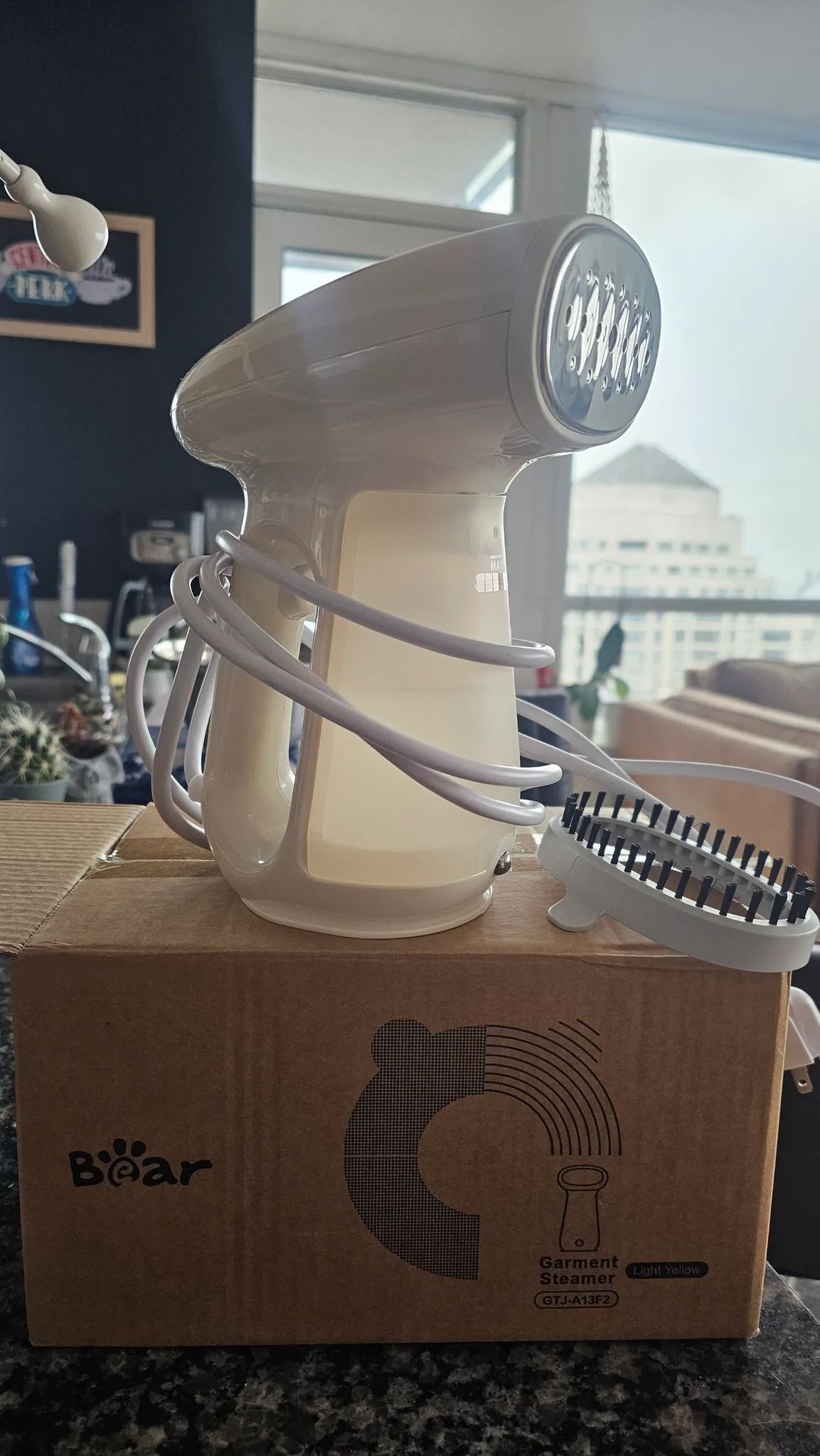 Clothing Steamer  photo 1