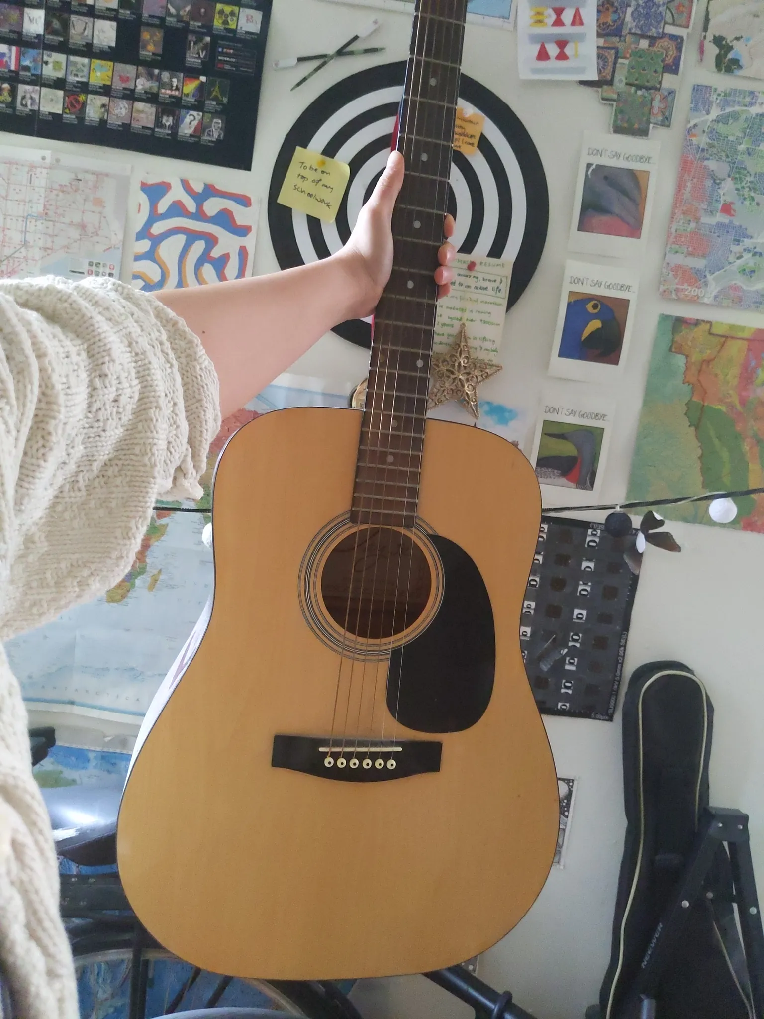 Acoustic guitar photo 1