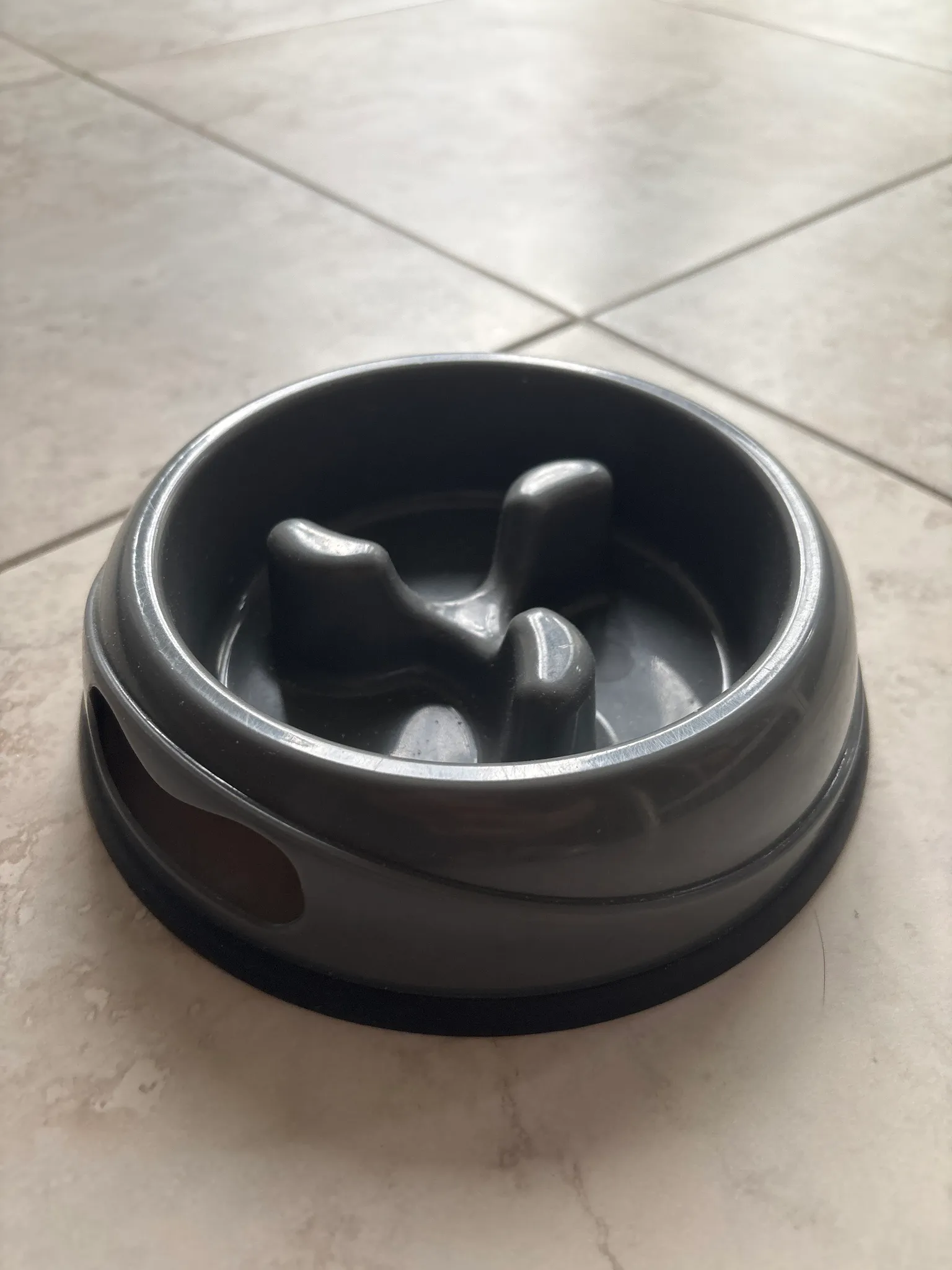 Dog bowl  photo 1