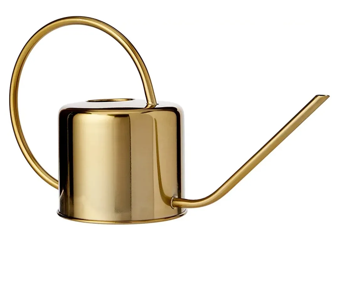 Vintage garden watering can photo 1