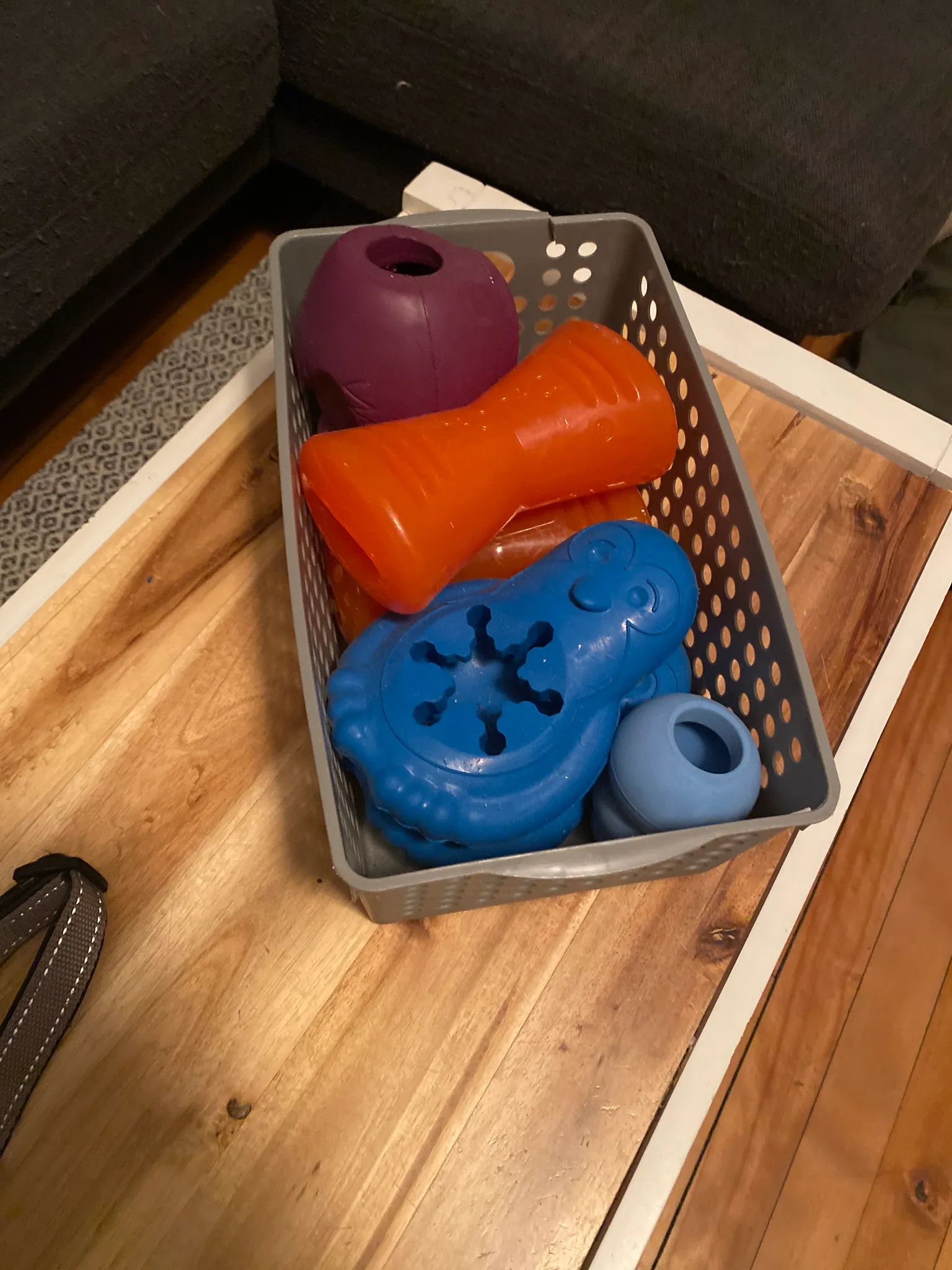 dog enrichment toys -free photo 1