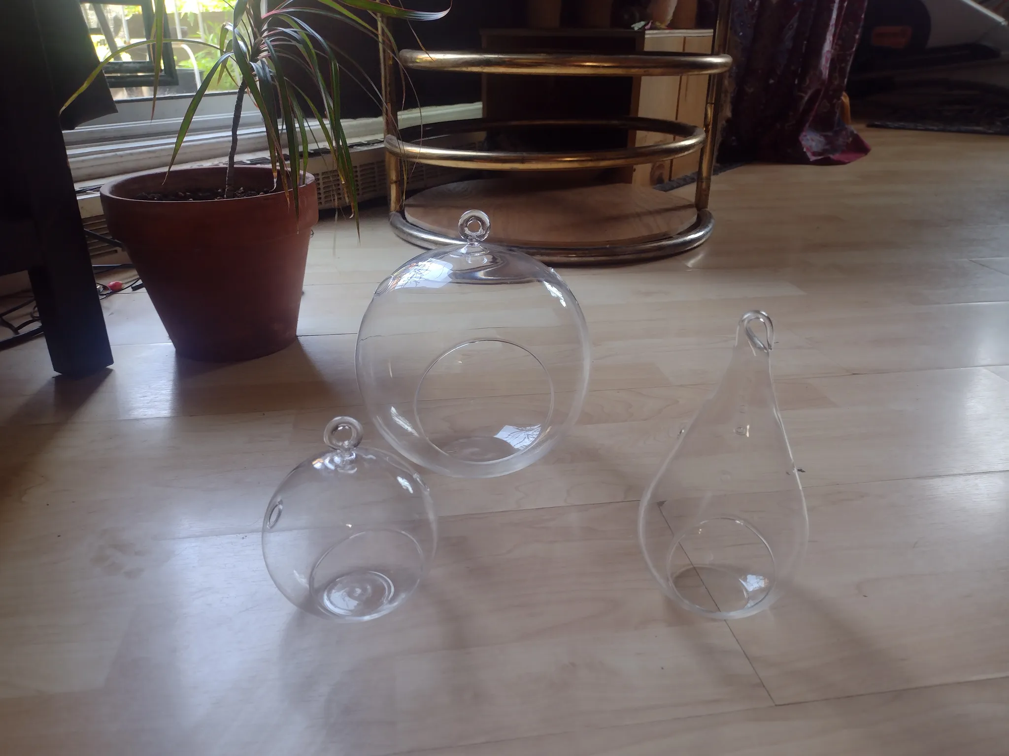 Hanging glass (for air plants?) photo 1