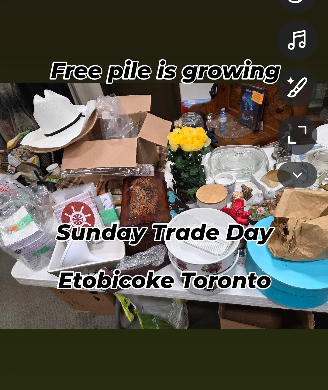 Sunday Funday photo 1