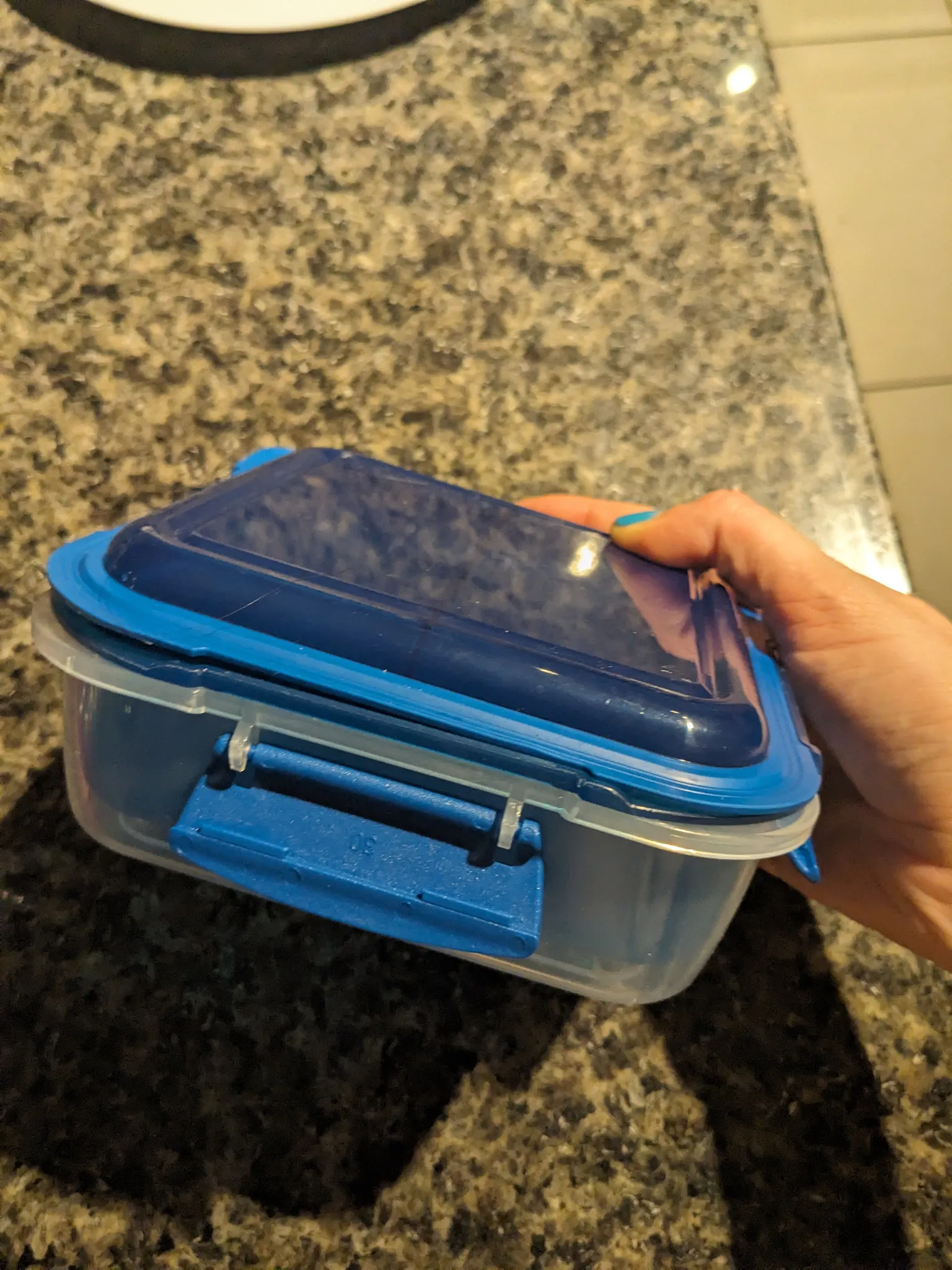 Lunch container  photo 1