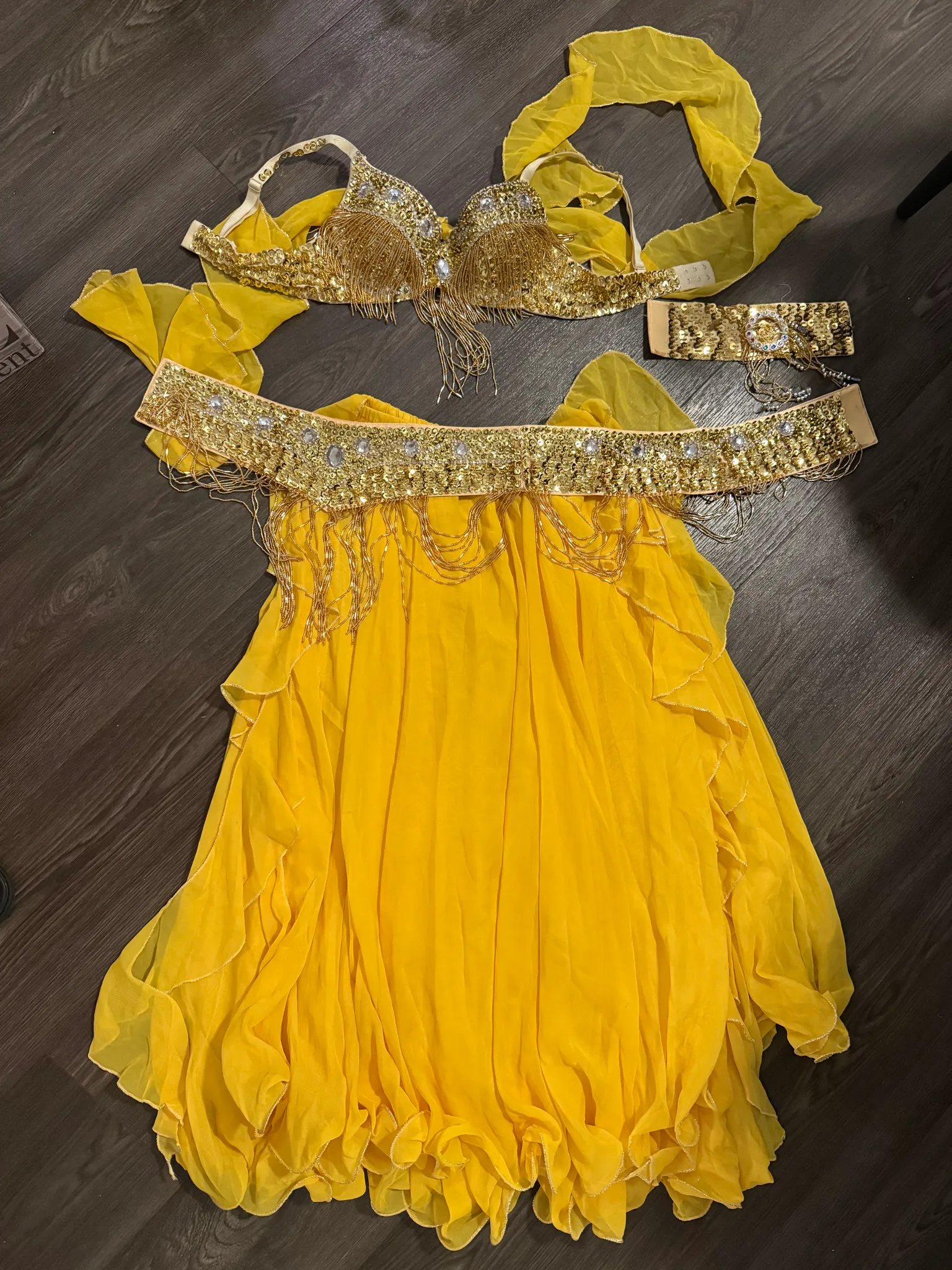 Professional Yellow & Gold Belly Dance Costume photo 1