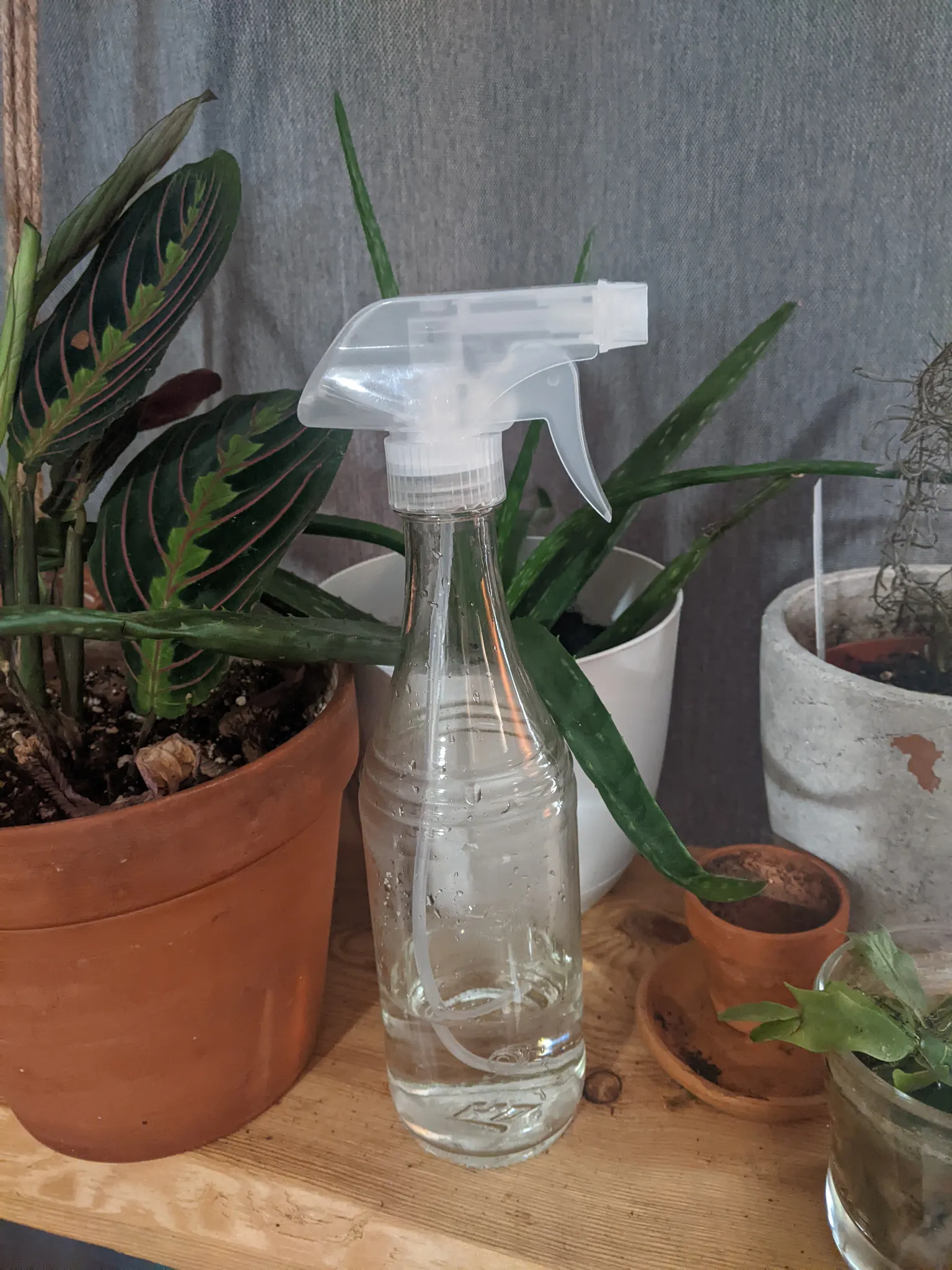 Spray bottles photo 1