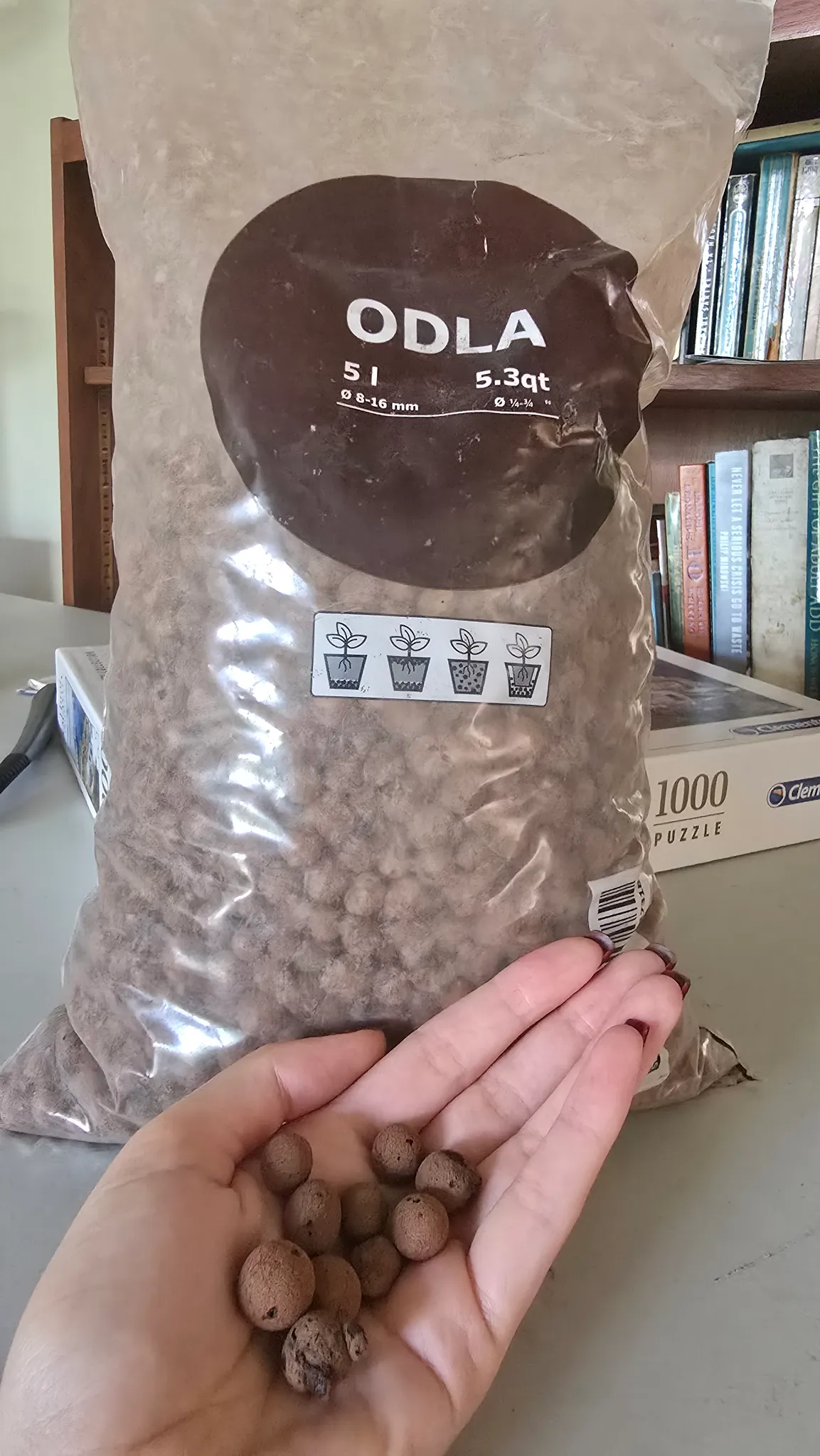 Clay pellet growing medium photo 1