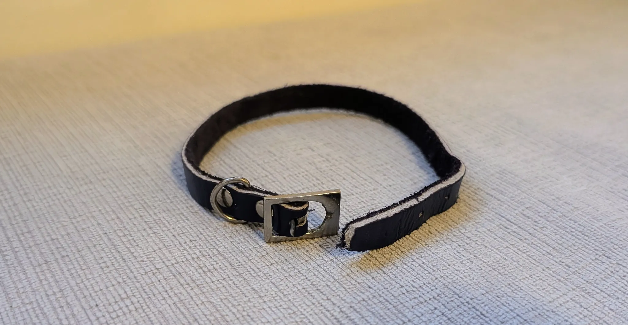 Navy Blue Leather Small Collar with Silver Buckle photo 1