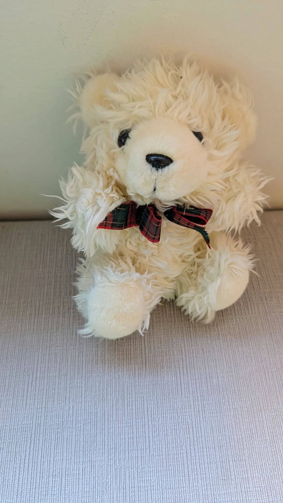 Cream Teddy Bear with Plaid Bow photo 1