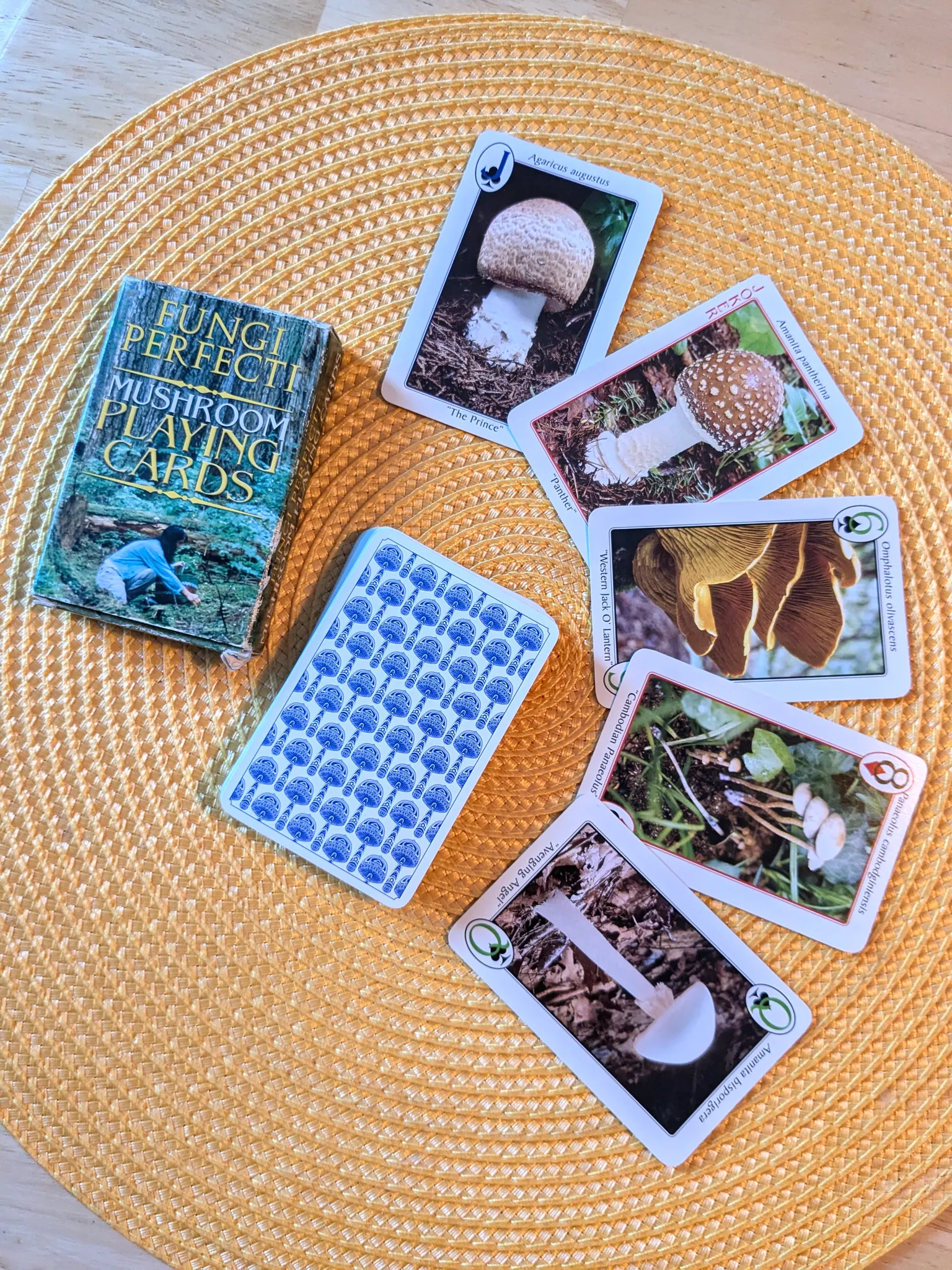 Mushroom Themed Playing Cards for Mycophiles 🍄 photo 1